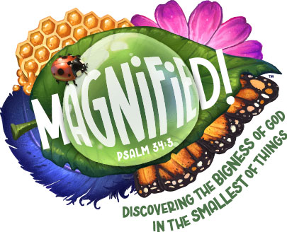 Magnified! VBS 2025